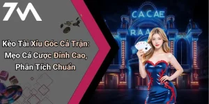 Kèo Tài Xỉu Góc Cả Trận: Mẹo Cá Cược Đỉnh Cao, Phân Tích Chuẩn
